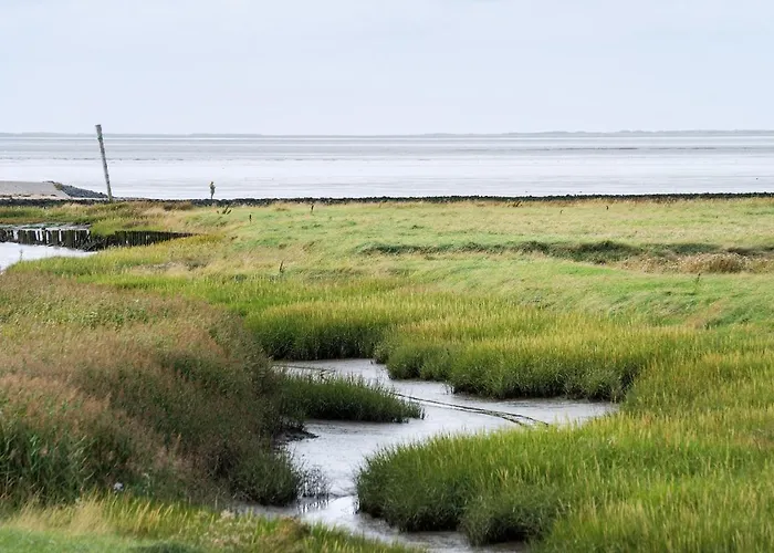 Tiny House Nature 4 Innenlage - Tiny Village Harlesiel Nyaraló Carolinensiel